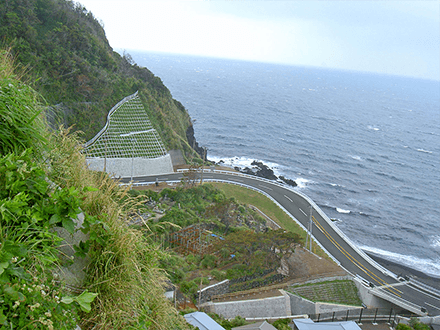 三宅島道路補足設計委託 （伊ヶ谷港線）