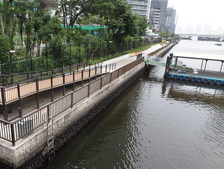 平成19年度朝潮運河（晴海）内部護岸設計