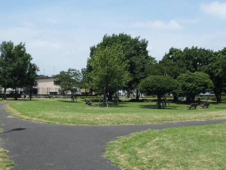 善福寺川緑地園地整備実施設計