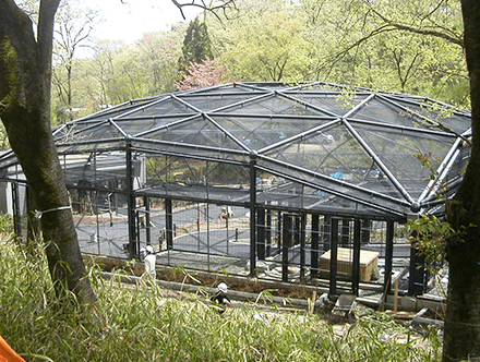 大島公園動物園再整備設計