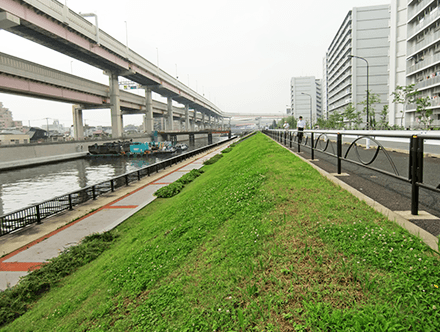 綾瀬川（小菅一丁目地区）修景設計