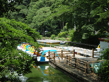 善福寺公園ボート場桟橋改修実施設計