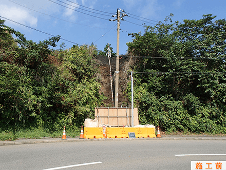 三宅島道路災害防除設計委託（緊急の２）