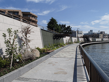 中川（本奥戸橋上流）右岸修景設計