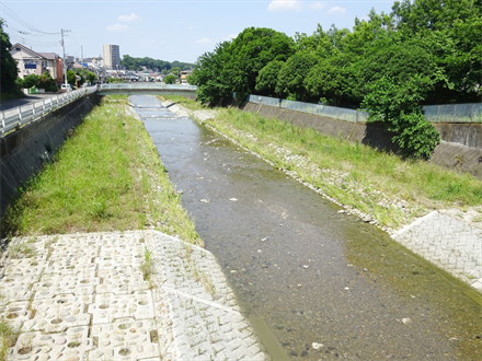 空堀川河床整備工事（その３）に伴う詳細設計