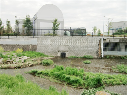 黒目川黒目橋調節池工事（２期）に伴う放流渠基本設計及び周辺整備基本検討