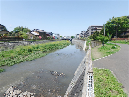 境川整備に伴う詳細設計（鶴間橋上下流）