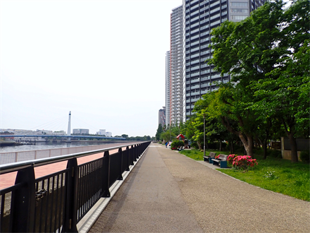令和4年度辰巳運河(東雲一丁目)内部護岸修正設計