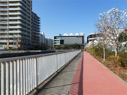 令和2年度汐浜運河内部護岸遊歩道補修設計