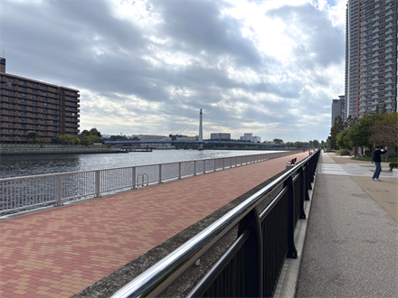 令和4年度辰巳運河(東雲一丁目)内部護岸修正設計