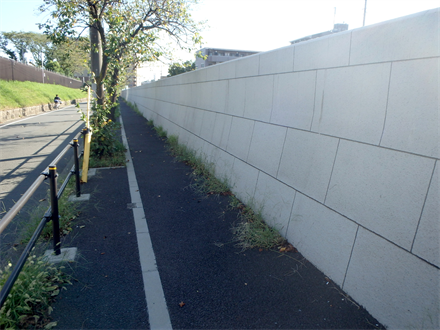 白子川護岸整備工事（水道橋上流）に伴う修正設計（２-１）