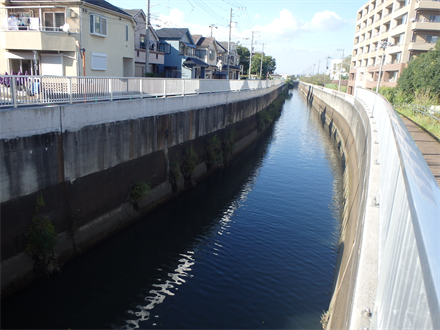 白子川護岸整備工事（水道橋上流）に伴う修正設計（２-１）